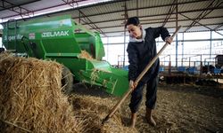 Girişimci kadın, havacılık sektöründeki işini bırakıp köyüne büyükbaş çiftliği kurdu