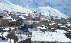 Hakkari'de kar yerini soğuk havaya bıraktı