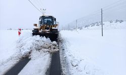 Kahramanmaraş'ta kar nedeniyle 66 mahalleye ulaşım sağlanamıyor