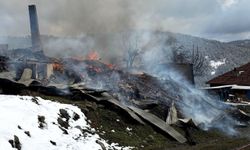 Kastamonu'da çıkan yangında 2 ev, ahır ve traktör kullanılamaz hale geldi