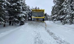 Kayseri'de kar nedeniyle 22 mahalle yolu ulaşıma kapandı