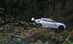 Sarıyer'de ağaçlık alana düşen otomobilin sürücüsü kazayı yara almadan atlattı