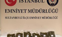 Sultanbeyli'de uyuşturucu ticareti yaptığı iddiasıyla bir şüpheli tutuklandı