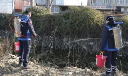 Muğla'da sivrisinek ile mücadele yıl boyunca devam ediyor