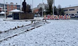 Ardahan ve Kars'ta kar etkili oldu