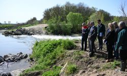 Çeltik tarımında kullanılan Tunca Nehri temizleniyor, su biriktirme alanları oluşturuluyor