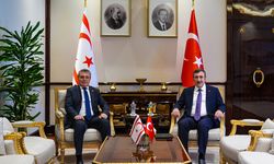 Cumhurbaşkanı Yardımcısı Yılmaz, KKTC Başbakanı Üstel ile görüştü: