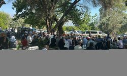 Hatay'da eşini baltayla öldüren zanlı tutuklandı