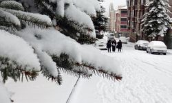 Kars'ta aralıklarla etkili olan kar, etrafı beyaza bürüdü