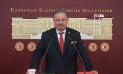 Yeniden Refah Partili Bekin, "TDT ve D-8 konusunda güçlü adımlar atılmasını istediğini" söyledi