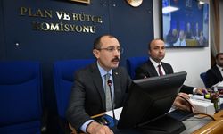 Bazı kanunlar ile 660 sayılı KHK'de değişiklikler içeren kanun teklifi TBMM Plan ve Bütçe Komisyonunda
