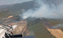 Bilecik'te buğday tarlasında başlayıp ormana sıçrayan yangın söndürüldü