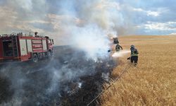 Çorum'da çıkan yangında yaklaşık 120 dekar buğday tarlası yandı