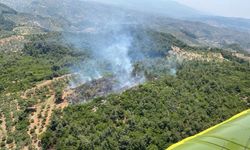 GÜNCELLEME - Aydın'ın Germencik ilçesinde ormanlık alanda çıkan yangın kontrol altında