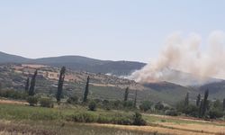 GÜNCELLEME - Balıkesir'in Kepsut ilçesindeki orman yangını kontrol altına alındı