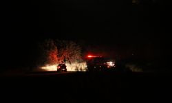 GÜNCELLEME - Çanakkale'de tarım arazisinde çıkan yangın kısmen kontrol altına alındı