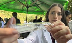 Kahverengi kokarca ile biyolojik mücadele için doğaya sülün ve samuray arıcığı bırakıldı