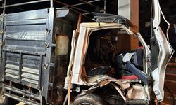 Kocaeli'de yön tabelasına çarpan kamyonetin sürücüsü yaralandı