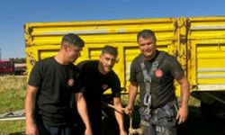 Mardin'de kuyuya düşen koyun kurtarıldı
