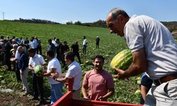 Bilecik'te yangınlardan etkilenen çiftçinin yetiştirdiği karpuzu Türkiye Tarım Kredi Kooperatifleri aldı