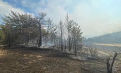 Bolu'da ormanlık alanda çıkan yangın kontrol altına alındı