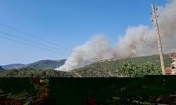 Bursa-Balıkesir sınırında çıkan orman yangınına müdahale ediliyor
