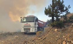 Bursa’da çıkan orman yangınına müdahale ediliyor