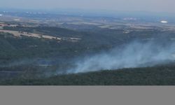 Edirne'de ormanlık alanda çıkan yangın söndürüldü