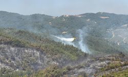 GÜNCELLEME - Balıkesir'deki orman yangını kontrol altına alındı