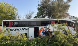 Konya'da yolcu otobüsü yol kenarındaki ağaçlara çarptı, 7 kişi yaralandı