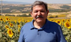 Tekirdağ'daki ayçiçeği tarlaları fotoğraf tutkunlarını ağırlıyor