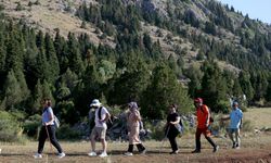 Toros Dağları eteklerindeki Berçin Yaylası doğaseverlerin yeni gözdesi oldu