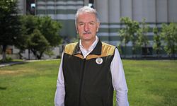 Fındık rekoltesinin bu yıl 453 bin ton olması bekleniyor