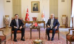 TBMM Başkanı Kurtulmuş, Gürcistan Cumhurbaşkanı Kavelaşvili ile görüştü:
