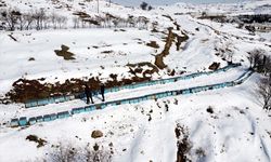 6 ŞUBAT DEPREMLERİNİN ÜÇÜNCÜ YILI - Depremden etkilenen Elazığ'da arıcı ve besiciler yaralarını devlet desteğiyle sardı