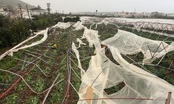 Antalya'da hortumun zarar verdiği Kumluca'da hasar tespit çalışmaları başladı