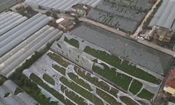 Antalya'nın Demre ilçesinde hortumun zarar verdiği alanlar havadan görüntülendi