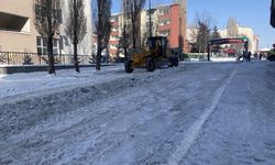Ardahan'da cadde ve sokaklar kardan temizleniyor