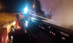 Balıkesir'de samanlıkta çıkan yangın söndürüldü