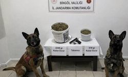Bingöl'de uyuşturucu operasyonunda 3 şüpheli yakalandı