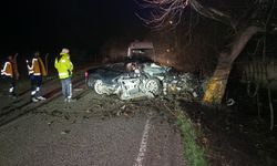 Bursa'da ağaca çarpan otomobildeki 2 kişi öldü, 2 kişi yaralandı