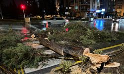 Denizli'de kuvvetli rüzgar etkili oldu
