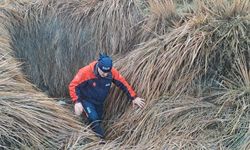 Diyarbakır'da kaybolan kadını arama çalışmaları 10'uncu gününde sürüyor