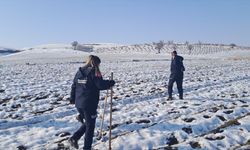 Diyarbakır'da kaybolan kadını arama çalışmaları havadan ve karadan sürüyor