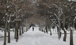 Elazığ'da kar yağışının ardından güzel manzaralar oluştu
