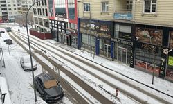 Erzurum, Kars, Ardahan ile Iğdır'da kar yağışı ve soğuk hava etkili oluyor