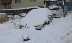 Erzurum, Kars ve Ardahan'da soğuk hava etkili oluyor