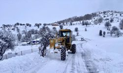 Giresun ve Gümüşhane'de 84 köy yolunda karla mücadele sürüyor