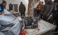 GÜNCELLEME - İsrail ordusunun Gazze Şeridi'ne düzenlediği saldırılarda hayatını kaybedenlerin sayısı 28'e yükseldi