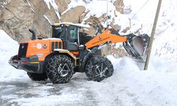 Hakkari-Van kara yolunda düşen çığlar temizlendi